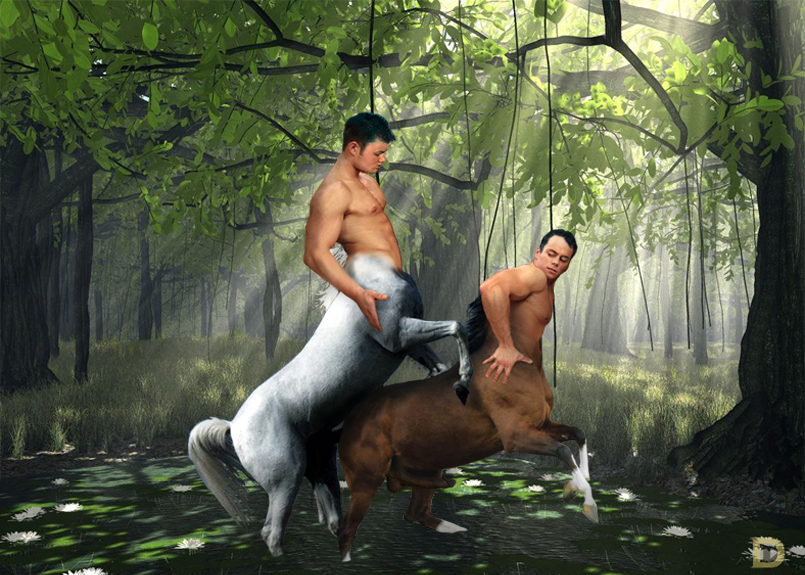 boy gallery tgp gay big fat gay black cock